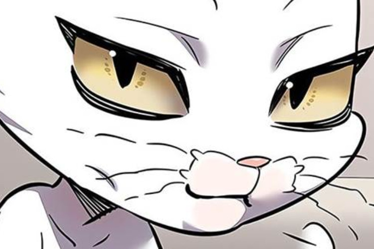 Lien du Eleceed Chapitre 376 VF Scan Gestella Est Vraiment Tombée Amoureuse De Kaiden