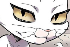 Lien du Eleceed Chapitre 376 VF Scan Gestella Est Vraiment Tombée Amoureuse De Kaiden